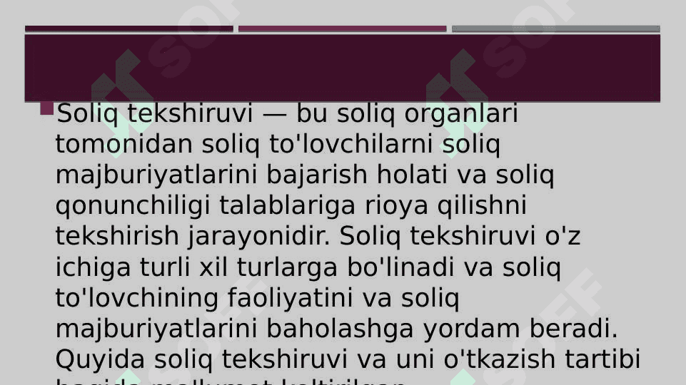 Soliq tekshiruvi 3