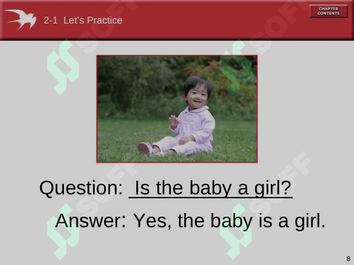 Yes-no-_general_-questions 8