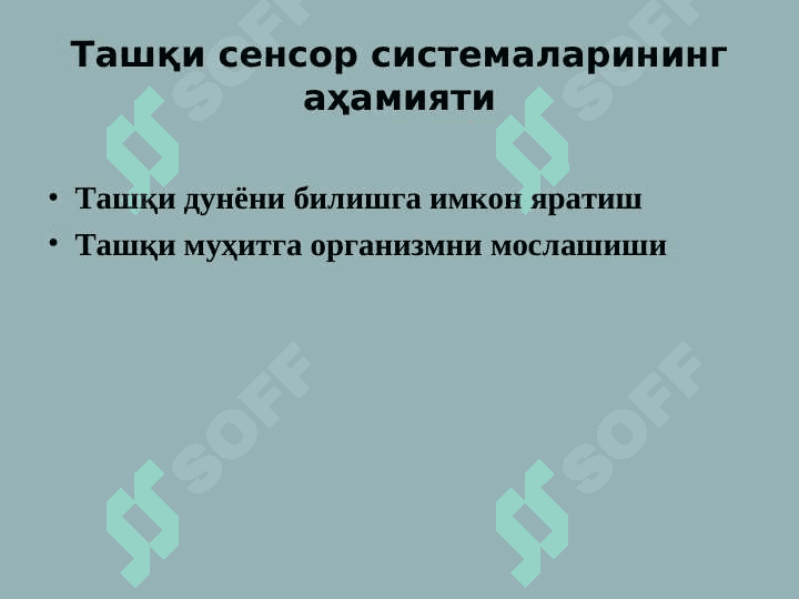Organizmning sensor sistemasi. ( Sensor tizim ) 4