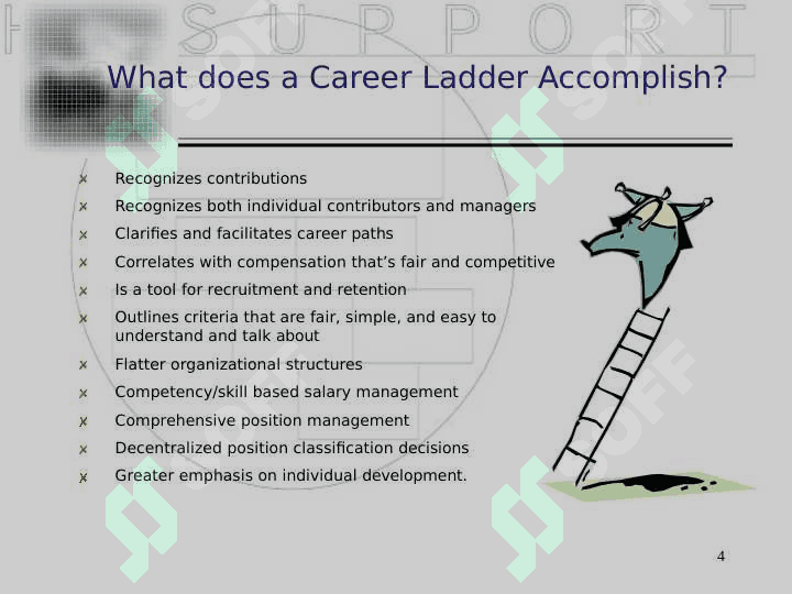 Career Ladder 4
