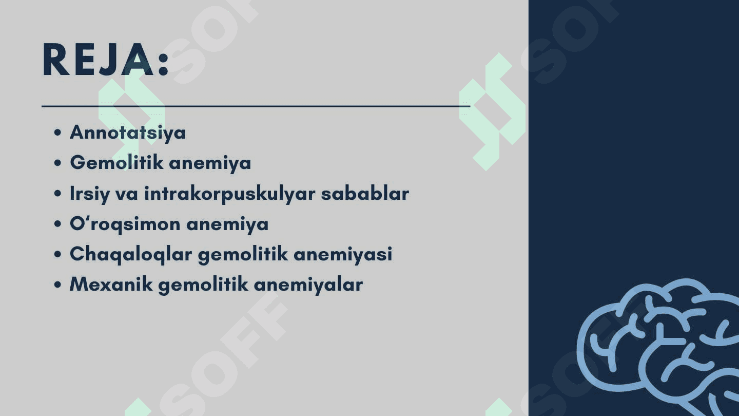 Irsiy gemolitik anemiyalar 2