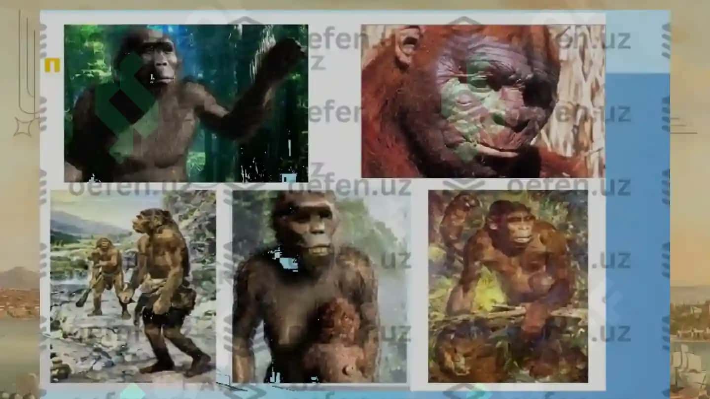 Inson evolyutsiyasi va oddiy tarix 8