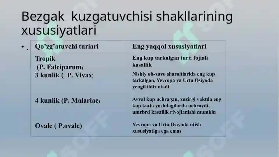 Bezgak 4