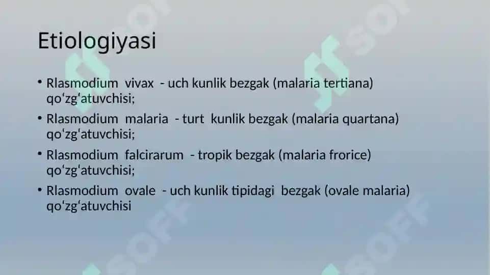 Bezgak 5