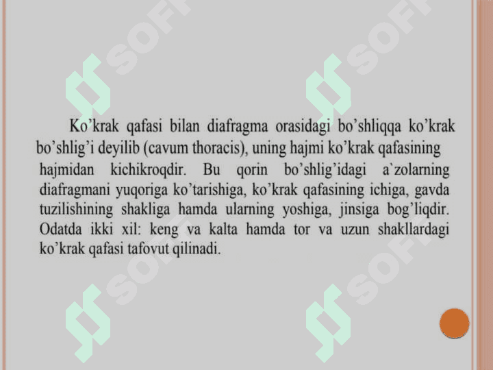 Ko'krak sohasi 
topografik anatomiyasi 4