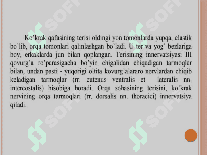 Ko'krak sohasi 
topografik anatomiyasi 7