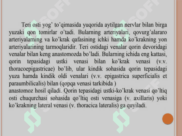 Ko'krak sohasi 
topografik anatomiyasi 8
