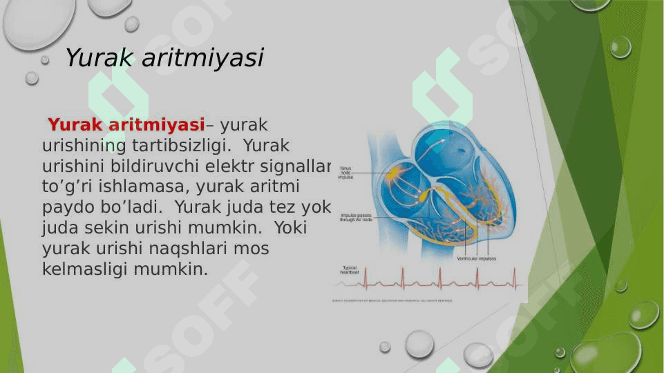 Yurak 
aritmiyalari. 2