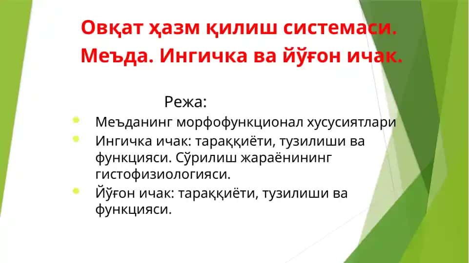 Ovqat hazm qilish sistemasi. me'da, ingichka va yo'gon ichak Овқат ҳазм қилиш системаси.  Меъда. Ингичка ва йўғон ичак. 1