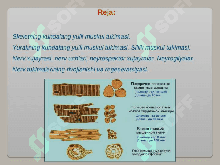 MUSKULLAR REGENERATSIYASI 2