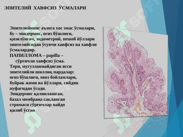 O`smalar Patologik anatomiya 2