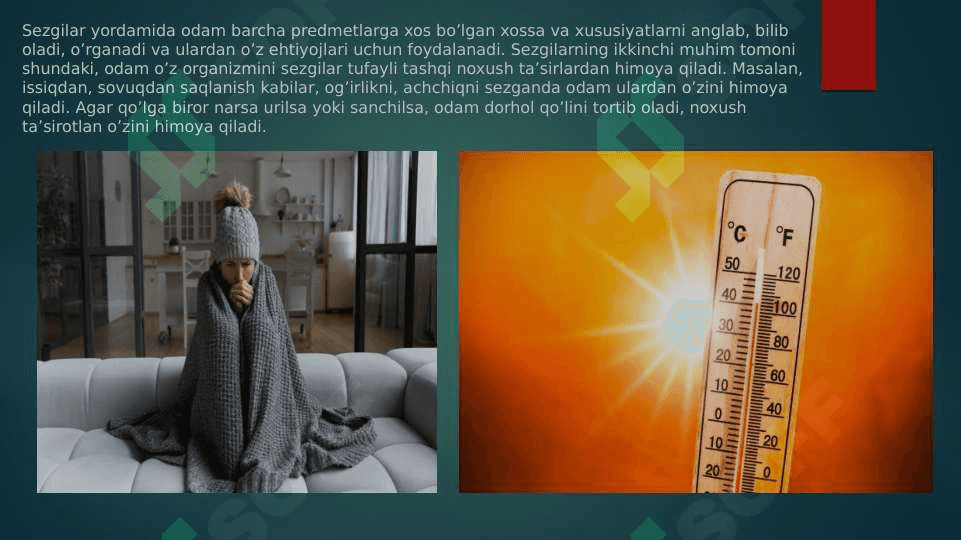 Sezgi 6