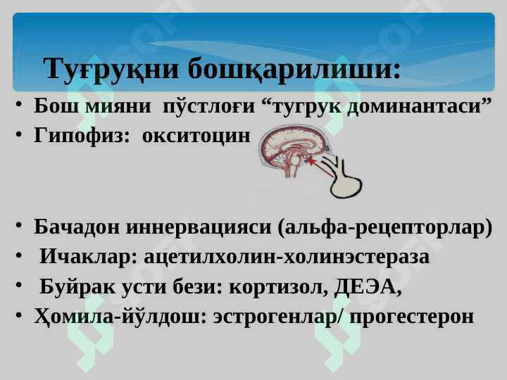 Коникарсиз тугрук фаолияти-2018 3