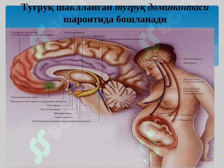 Коникарсиз тугрук фаолияти-2018 4