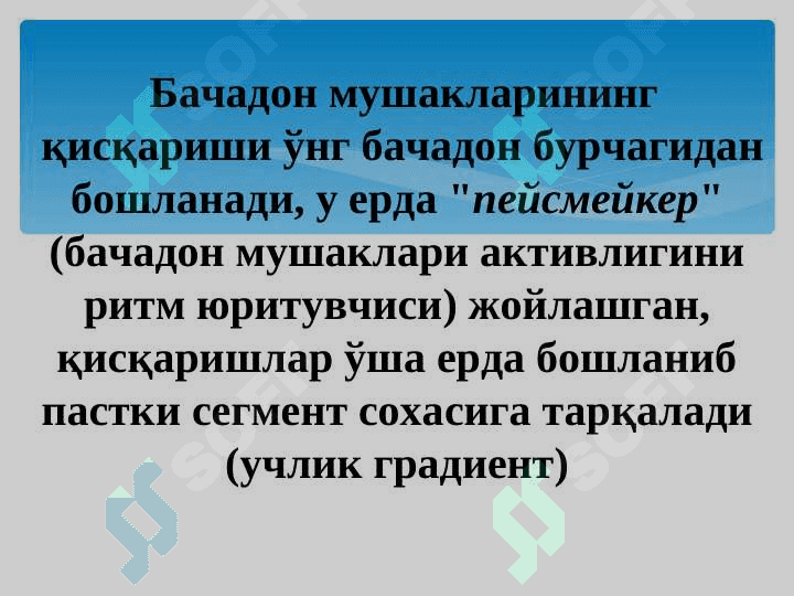 Коникарсиз тугрук фаолияти-2018 5