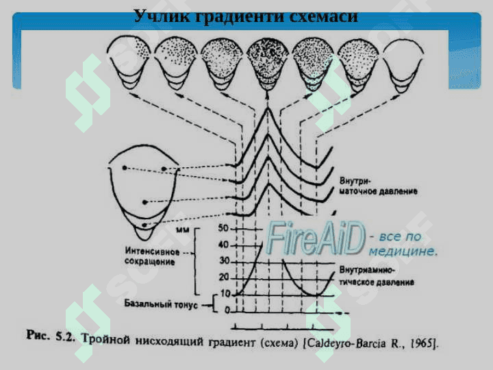 Коникарсиз тугрук фаолияти-2018 7