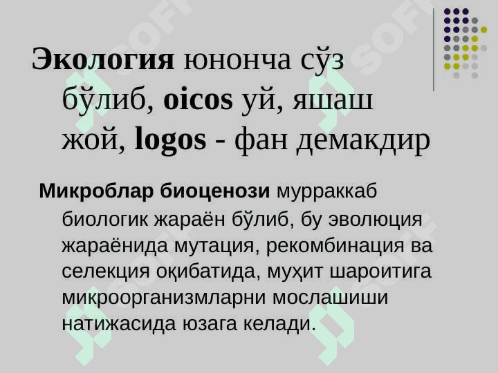 Mikroorganizmlar ekologiyasi 3