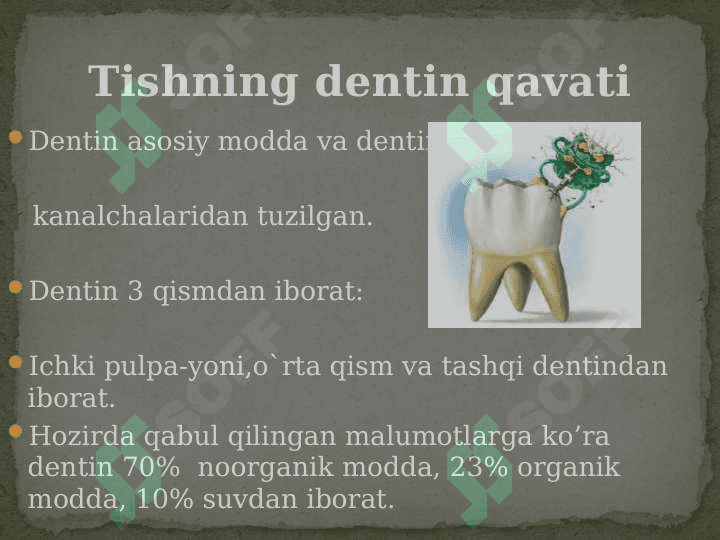 Tishlarning tuzilishi 7