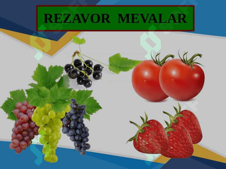 MEVALAR 8