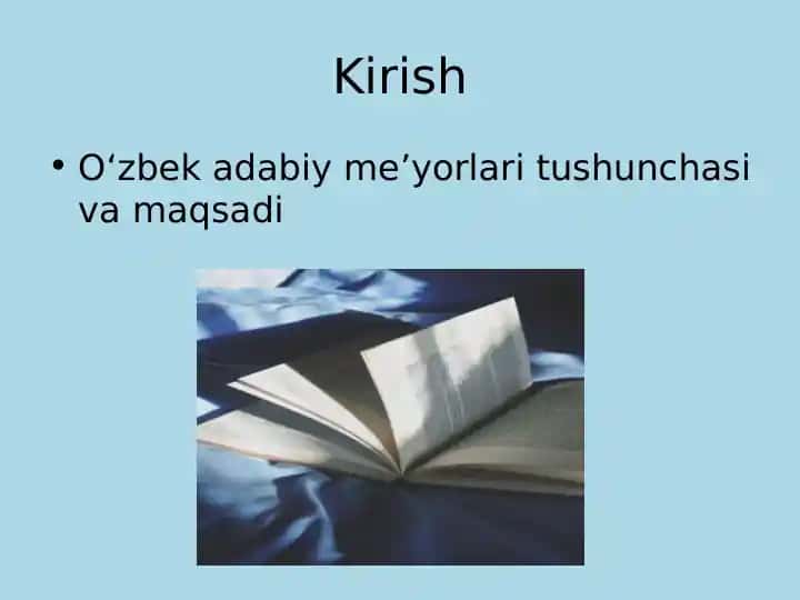 Oʻzbek adabiy me’yorlari va ularning  turlari