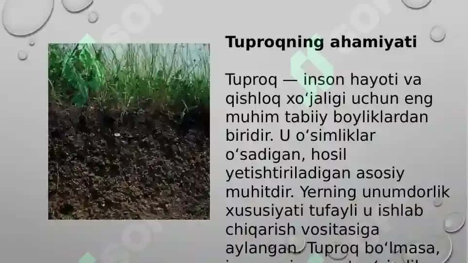Tuproq va uning tabiiy xususiyatlari 3