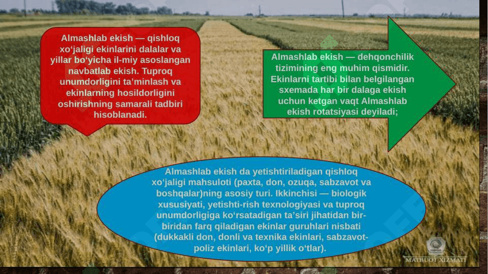 Bo’g’doy-g’o’za almashlab ekish tizimi 3