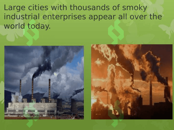ecological problem 4