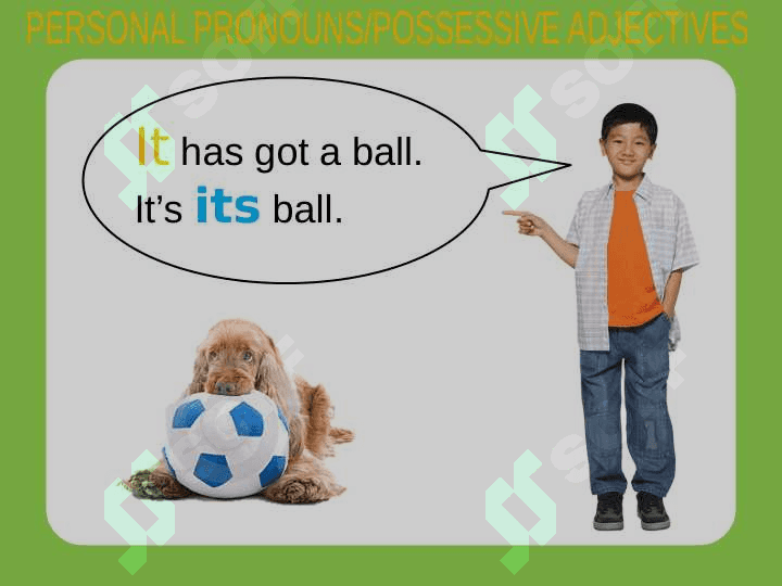 Possessive Adjectives 6