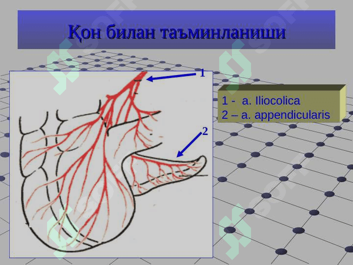 O'tkir_appenditsit (2) 6