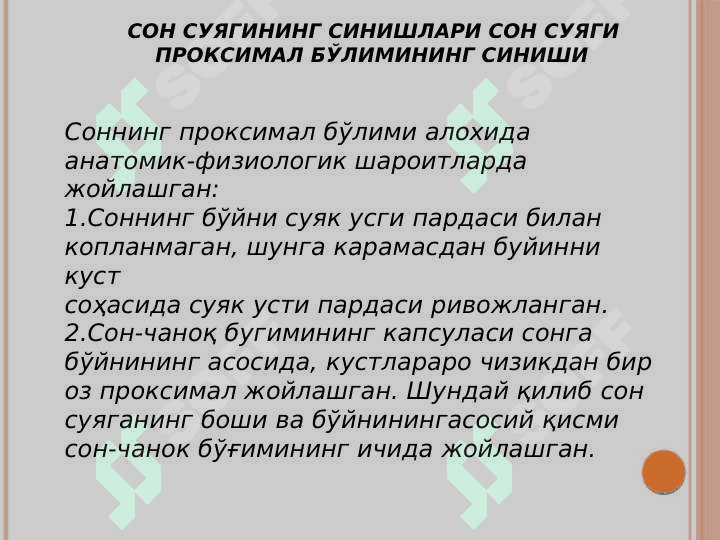 Son shikastlari 
va sinishi 2