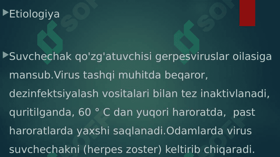 Suvchechak 3