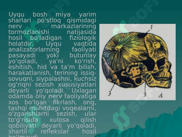 Uyqu va tushlar 3