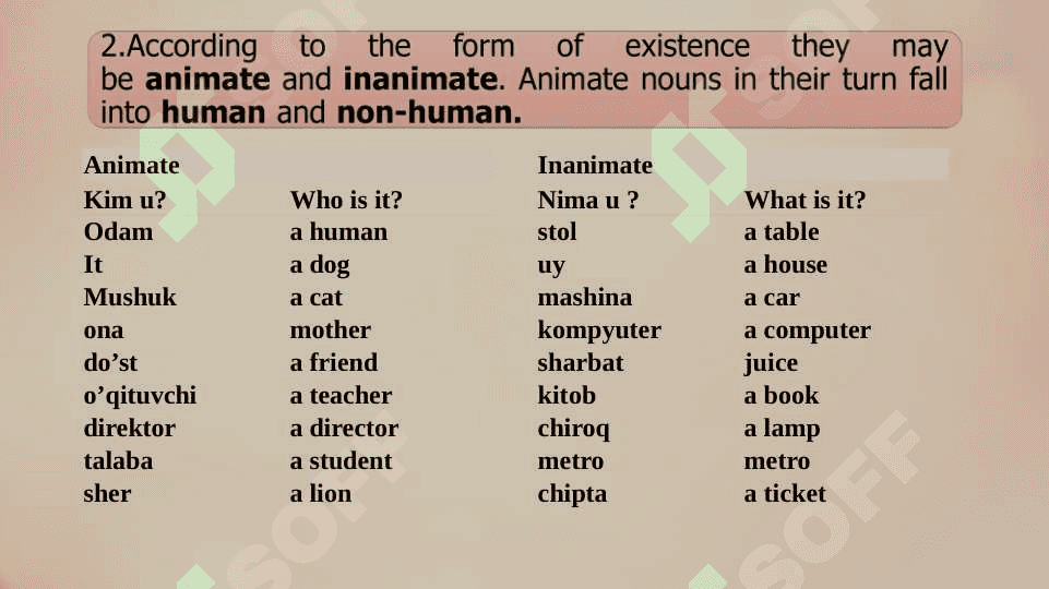 Nouns 6