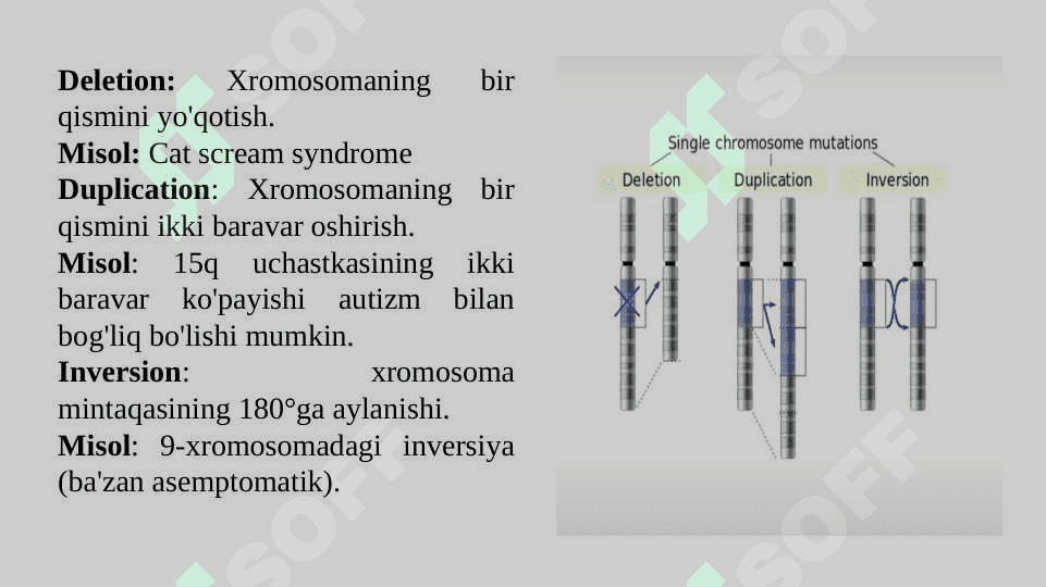 Genetik xastaliklarning molekulyar  diagnostik asoslari 5