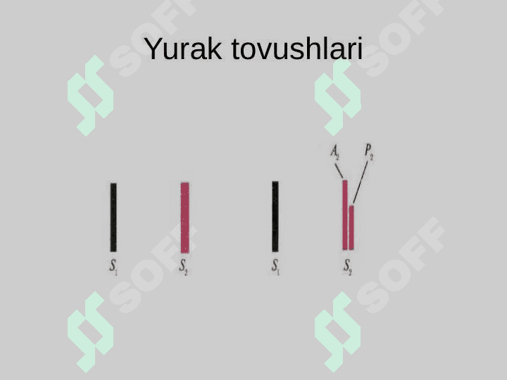 Yurak auskultatsiyasi usullari 6