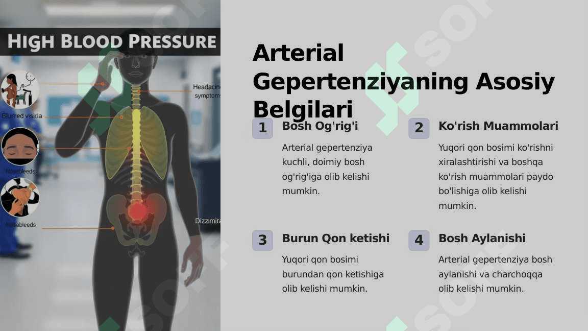 Arterial Gipertenziya 3