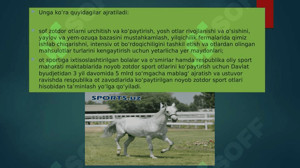 Yilqichilik Otchilik 4