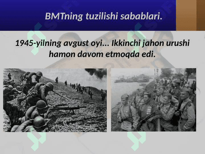 BMT 2