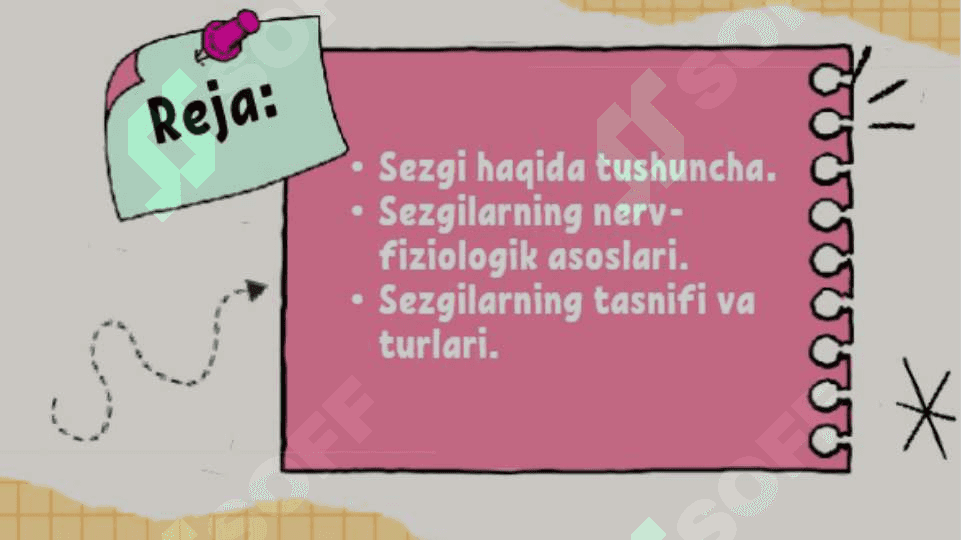 Sezgi 3