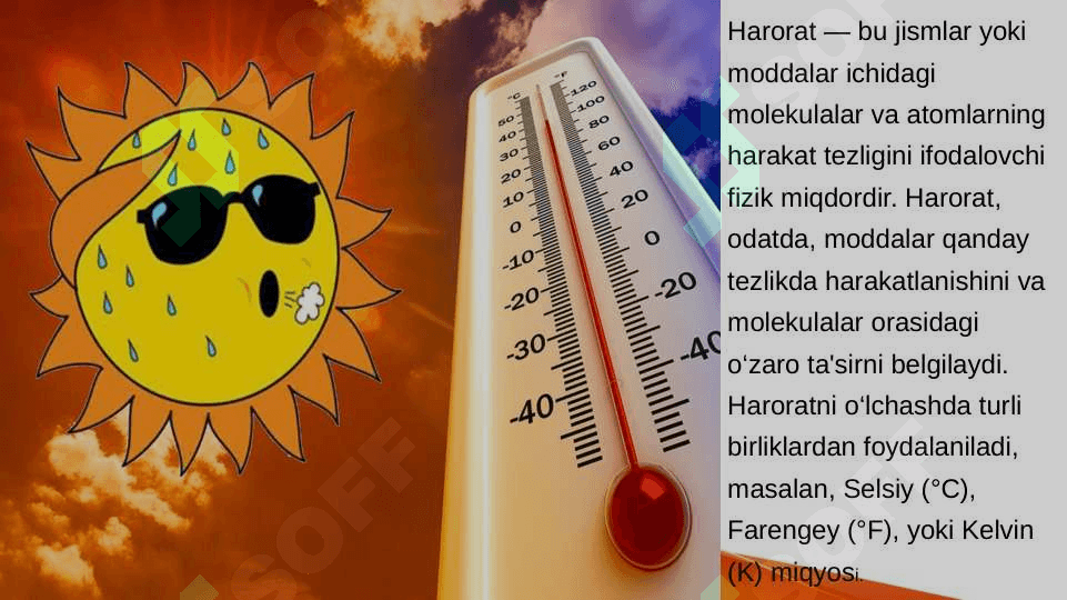 Sezgi 4
