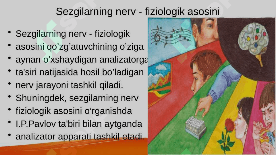 Sezgi 8