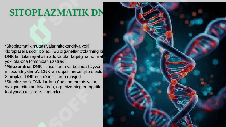 SITOPLAZMATIK MUTATSIYALAR 2
