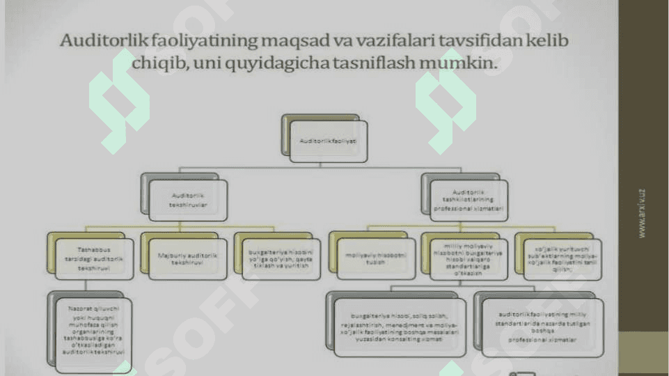 Auditorlik dalillar 8
