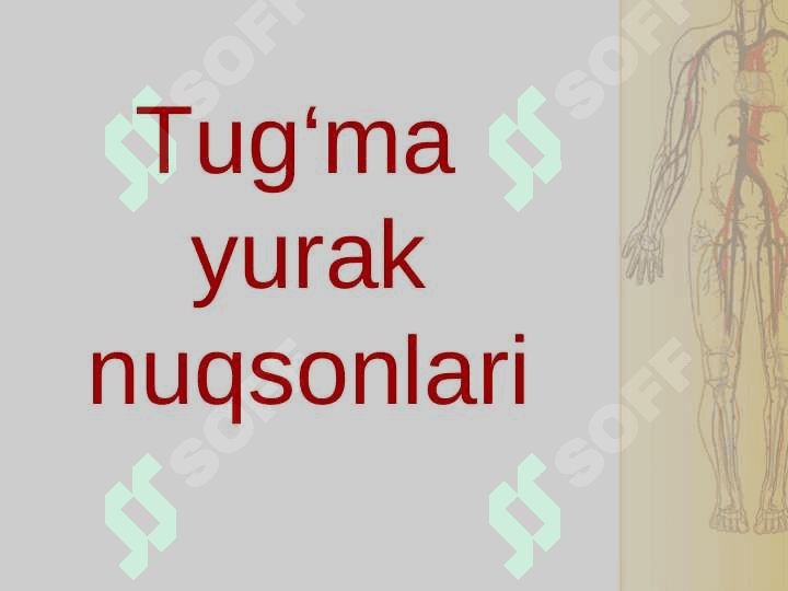 tug'ma yurak nuqsonlari 2