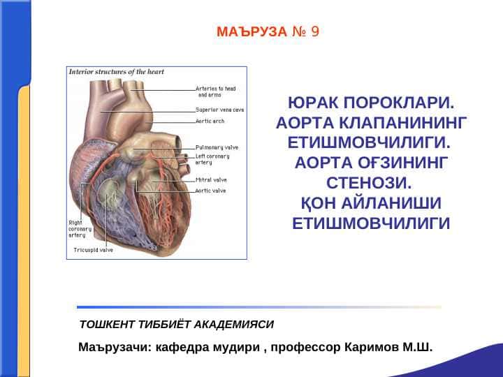 ЮРАК ПОРОКЛАРИ. АОРТА КЛАПАНИНИНГ ЕТИШМОВЧИЛИГИ. АОРТА ОҒЗИНИНГ СТЕНОЗИ. ҚОН АЙЛАНИШИ ЕТИШМОВЧИЛИГИ