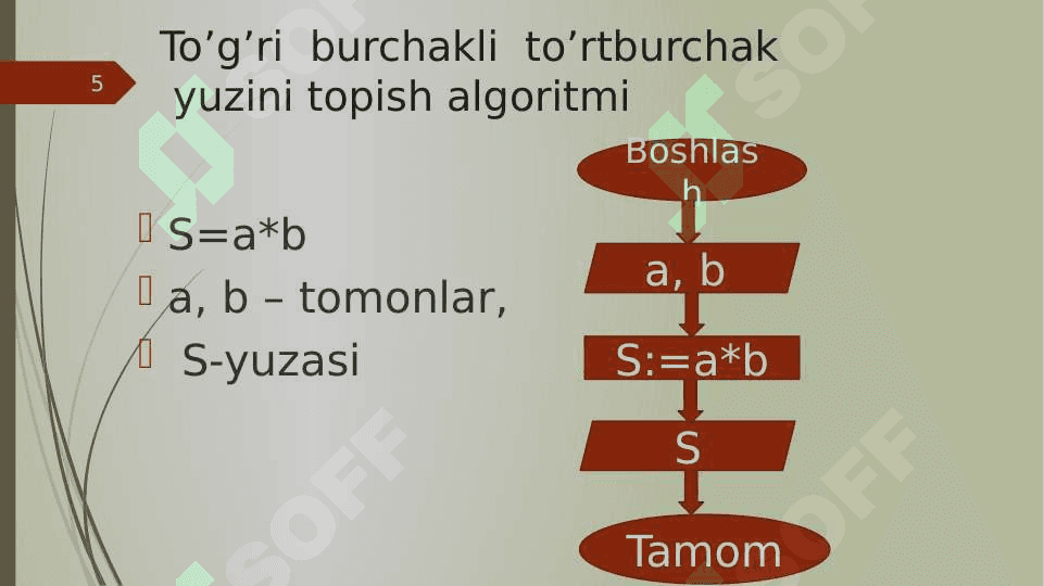 Algoritm va dasturlash, algoritmning asosiy turlari. 5