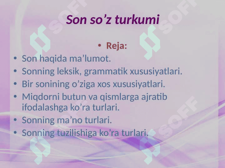Son so'z turkumi. 2