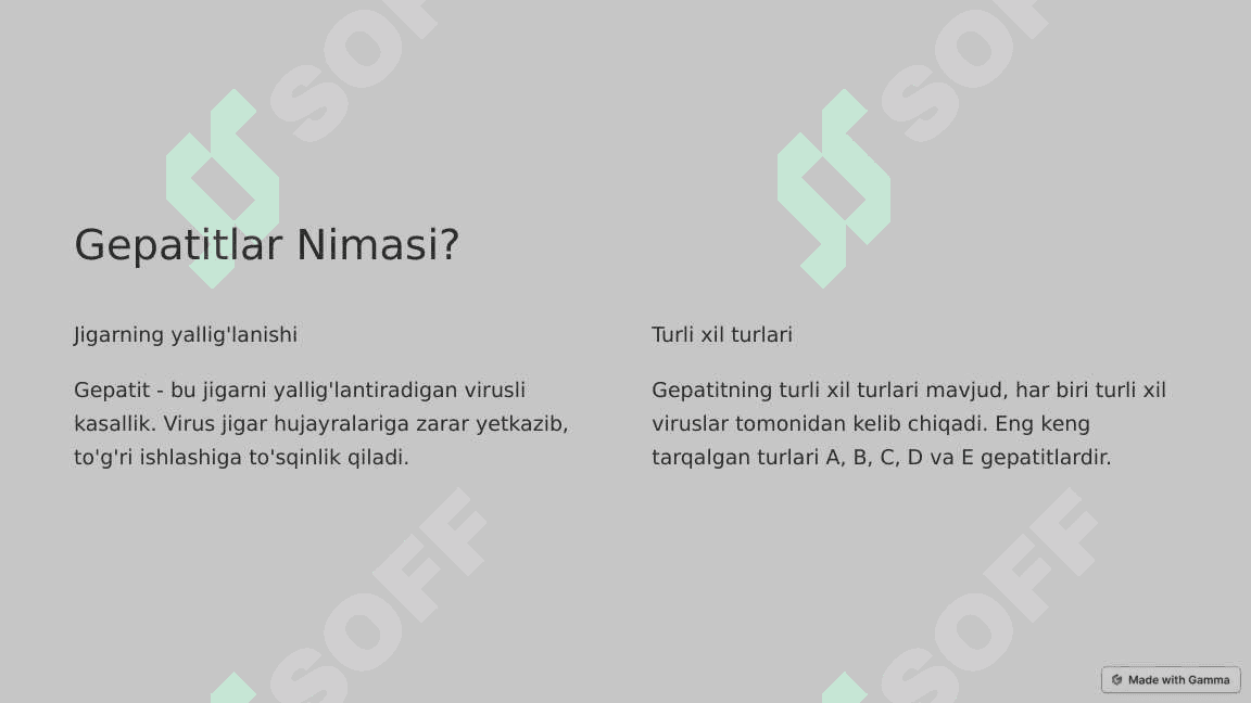 Surunkali Gepatitlar 2
