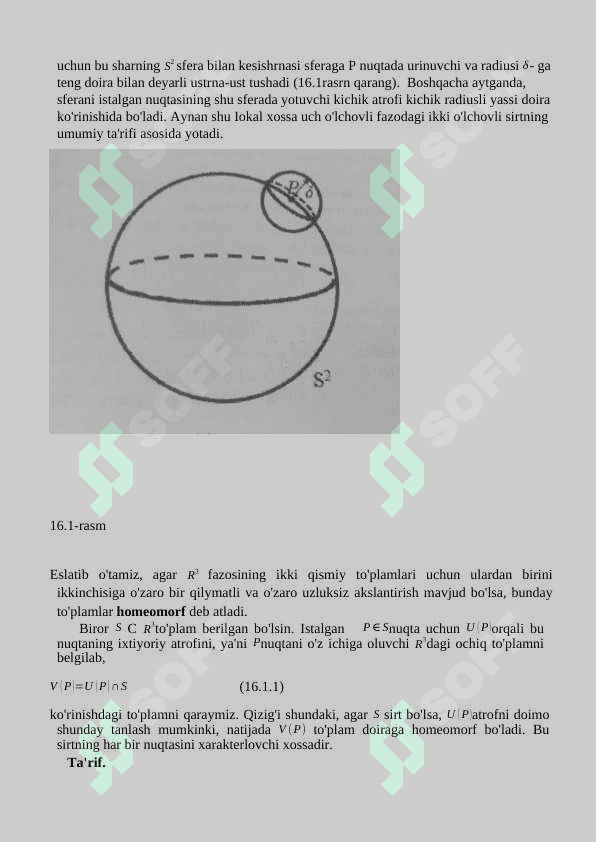 Sirt yuzi 6
