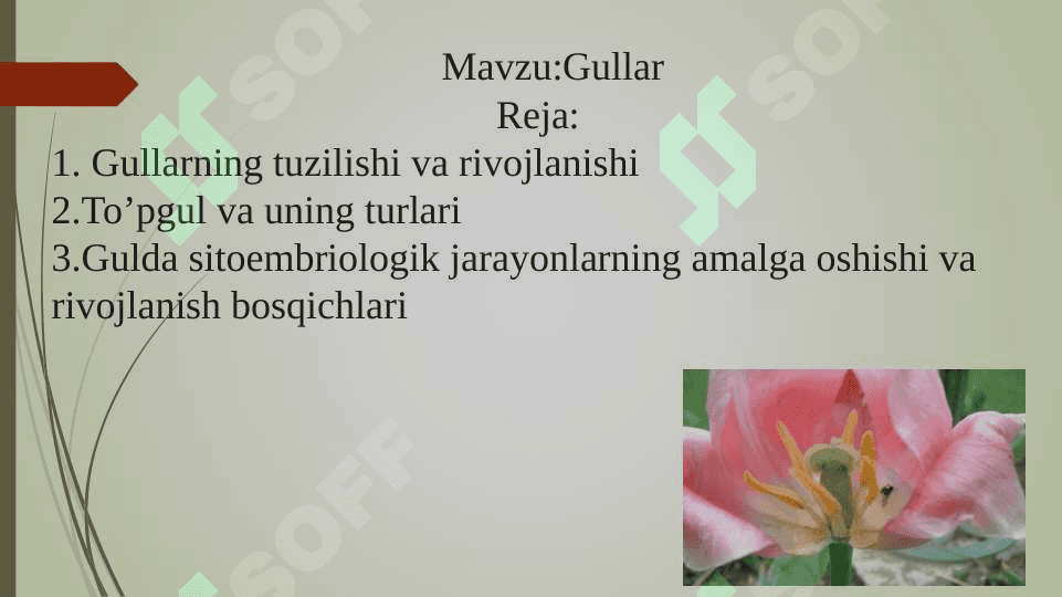 Gullar 2